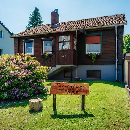 Peggy Mit Klimaanlage In Den Bergen Holiday home Walkenried