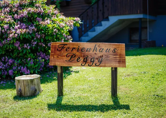 Peggy Mit Klimaanlage In Den Bergen Walkenried